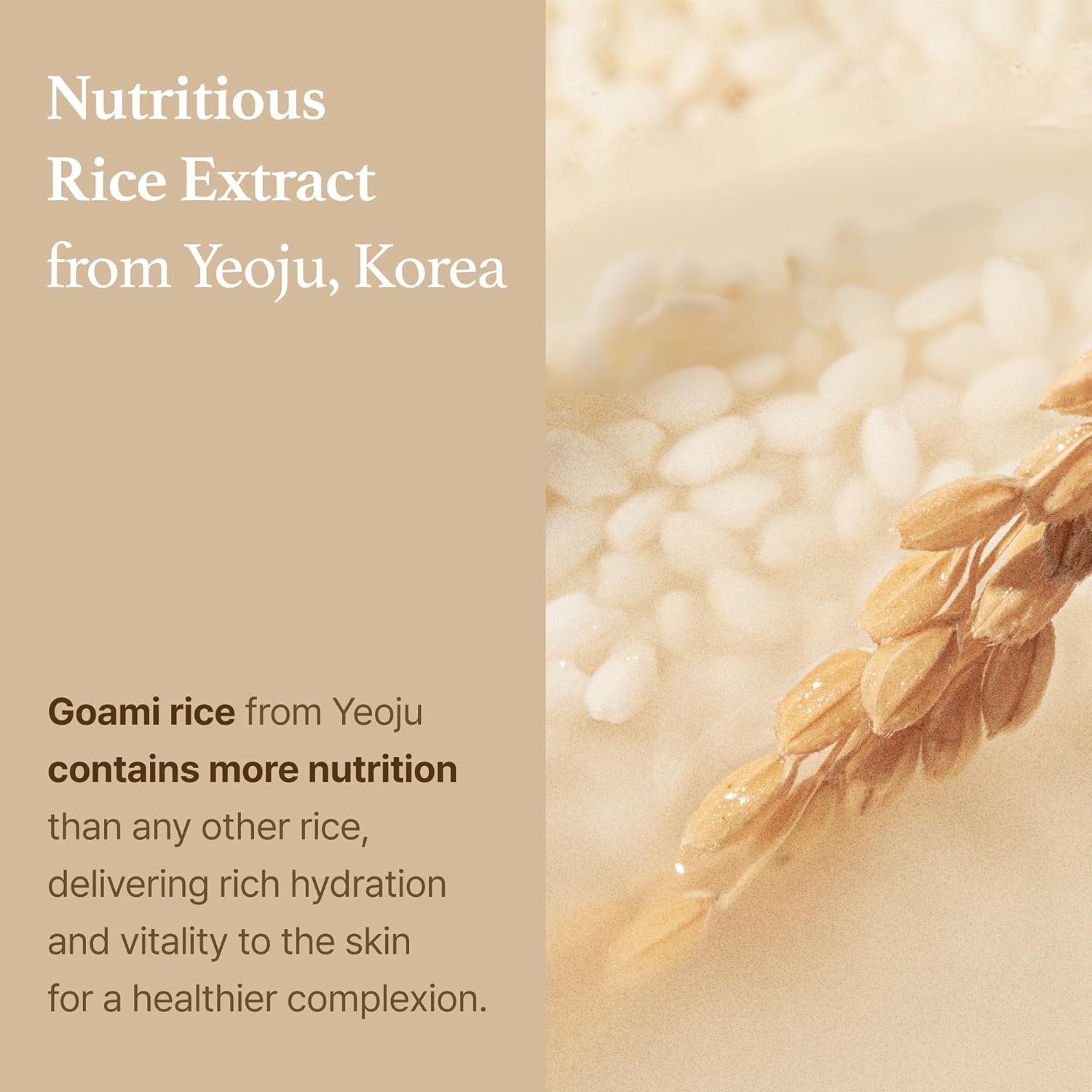 I'm from | Rice Toner