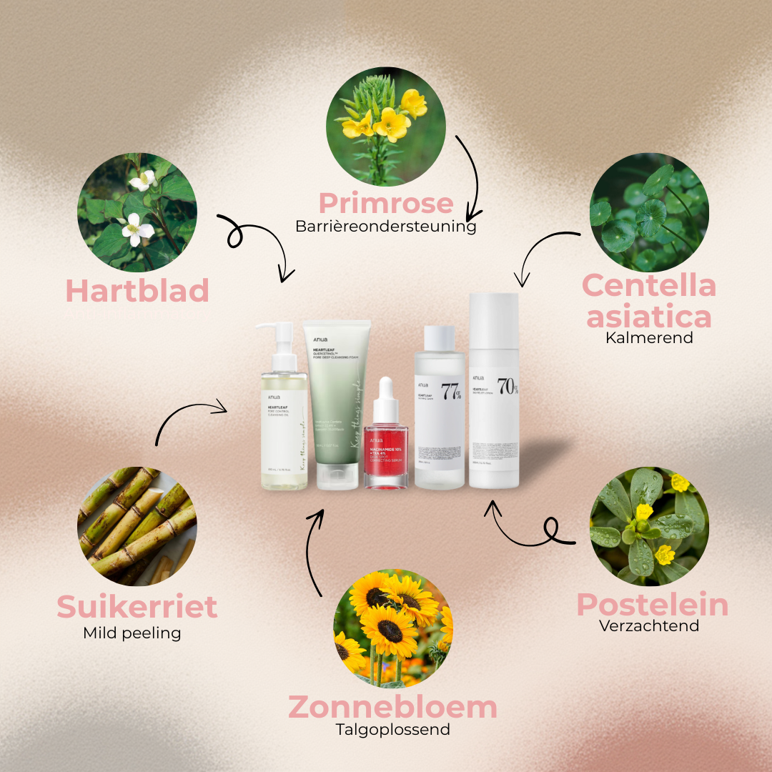 Anua | Ultieme Skincare Routine