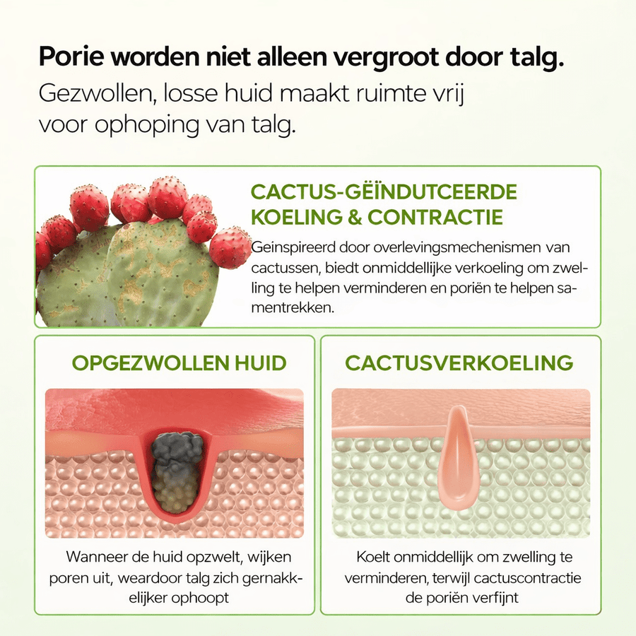 Dr. Melaxin | Cactox Pore Relief Multi Balm Stick - skin28