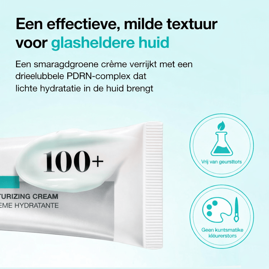 Anua | PDRN Hyaluronic Acid 100 Moisturizing Cream - skin28